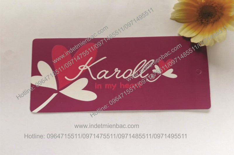 Mác của indetmienbac.com