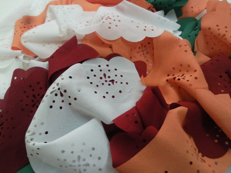 Cắt laze con giống trên vải