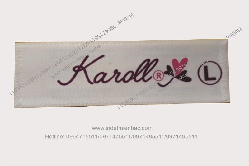 Phương pháp in chuyển nhiệt miền bắc